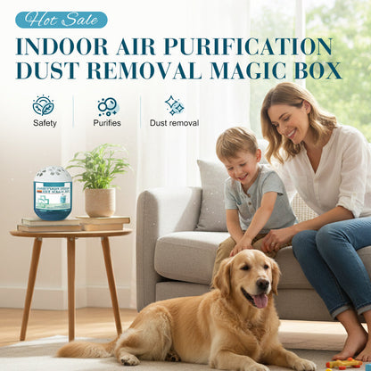 Indoor Air Purification & Dust Removal Magic Box 🎁🎁
