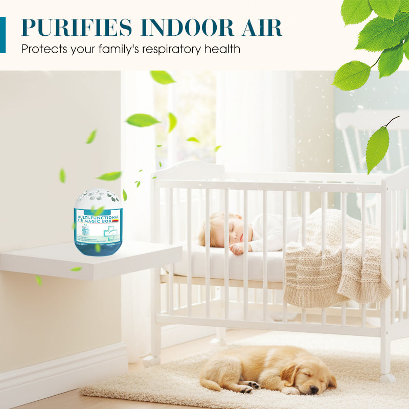 Indoor Air Purification & Dust Removal Magic Box 🎁🎁