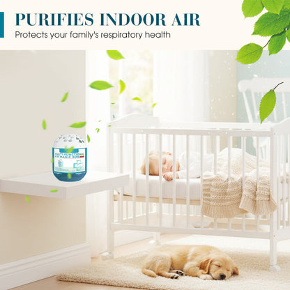 Indoor Air Purification & Dust Removal Magic Box 🎁🎁