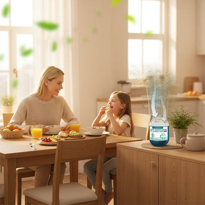 Indoor Air Purification & Dust Removal Magic Box 🎁🎁